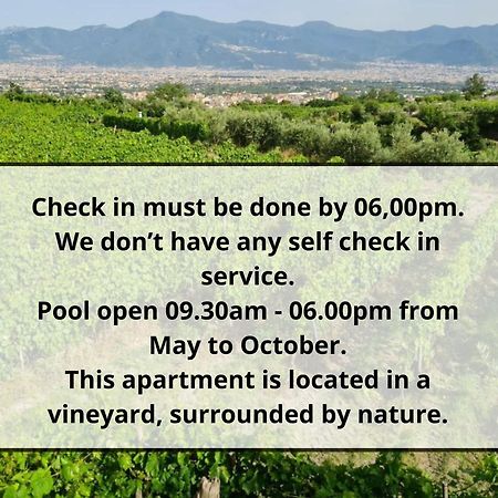 Vesuvio Inn Guest House E Wine Experience Boscotrecase Bagian luar foto