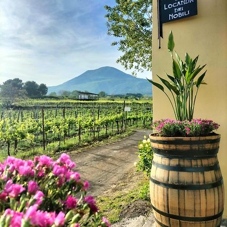 Vesuvio Inn Guest House E Wine Experience Boscotrecase Bagian luar foto