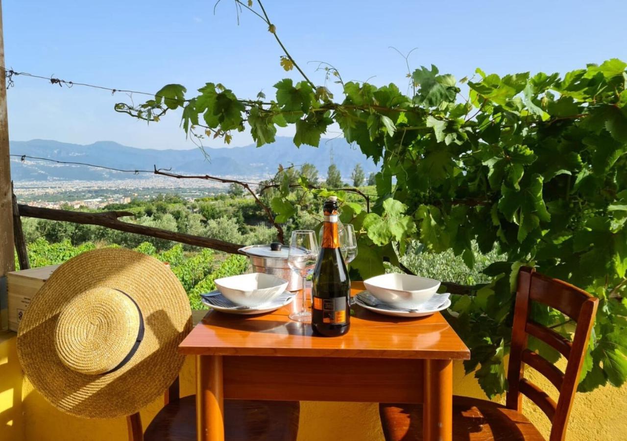 Vesuvio Inn Guest House E Wine Experience Boscotrecase Bagian luar foto