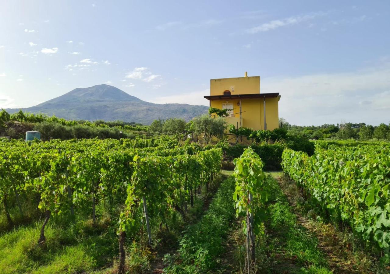 Vesuvio Inn Guest House E Wine Experience Boscotrecase Bagian luar foto