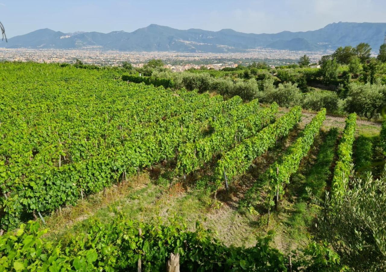 Vesuvio Inn Guest House E Wine Experience Boscotrecase Bagian luar foto