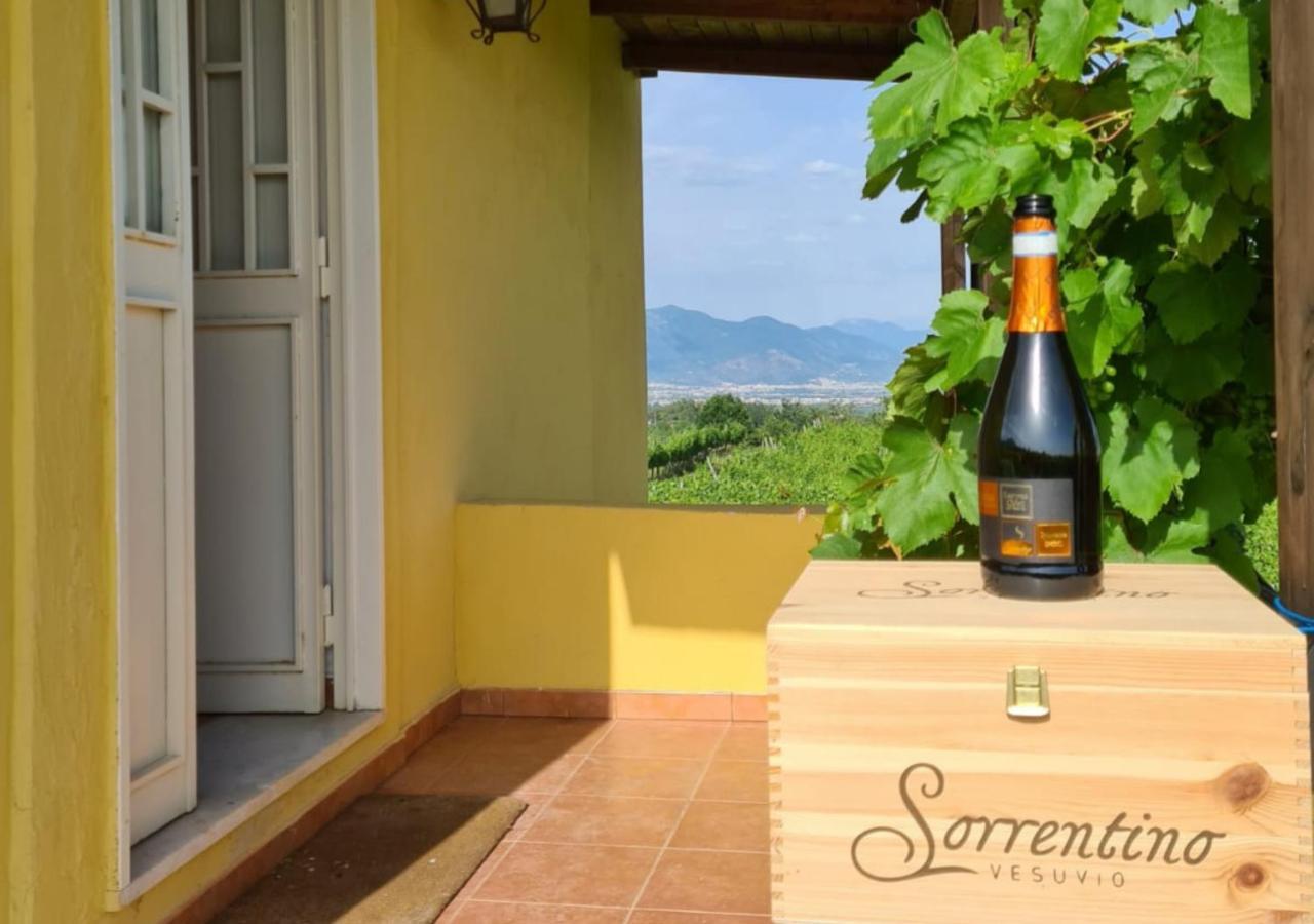 Vesuvio Inn Guest House E Wine Experience Boscotrecase Bagian luar foto