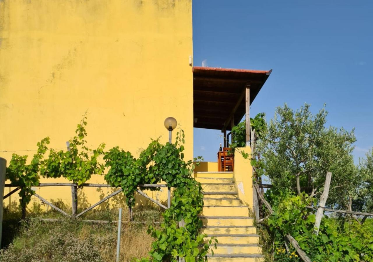 Vesuvio Inn Guest House E Wine Experience Boscotrecase Bagian luar foto