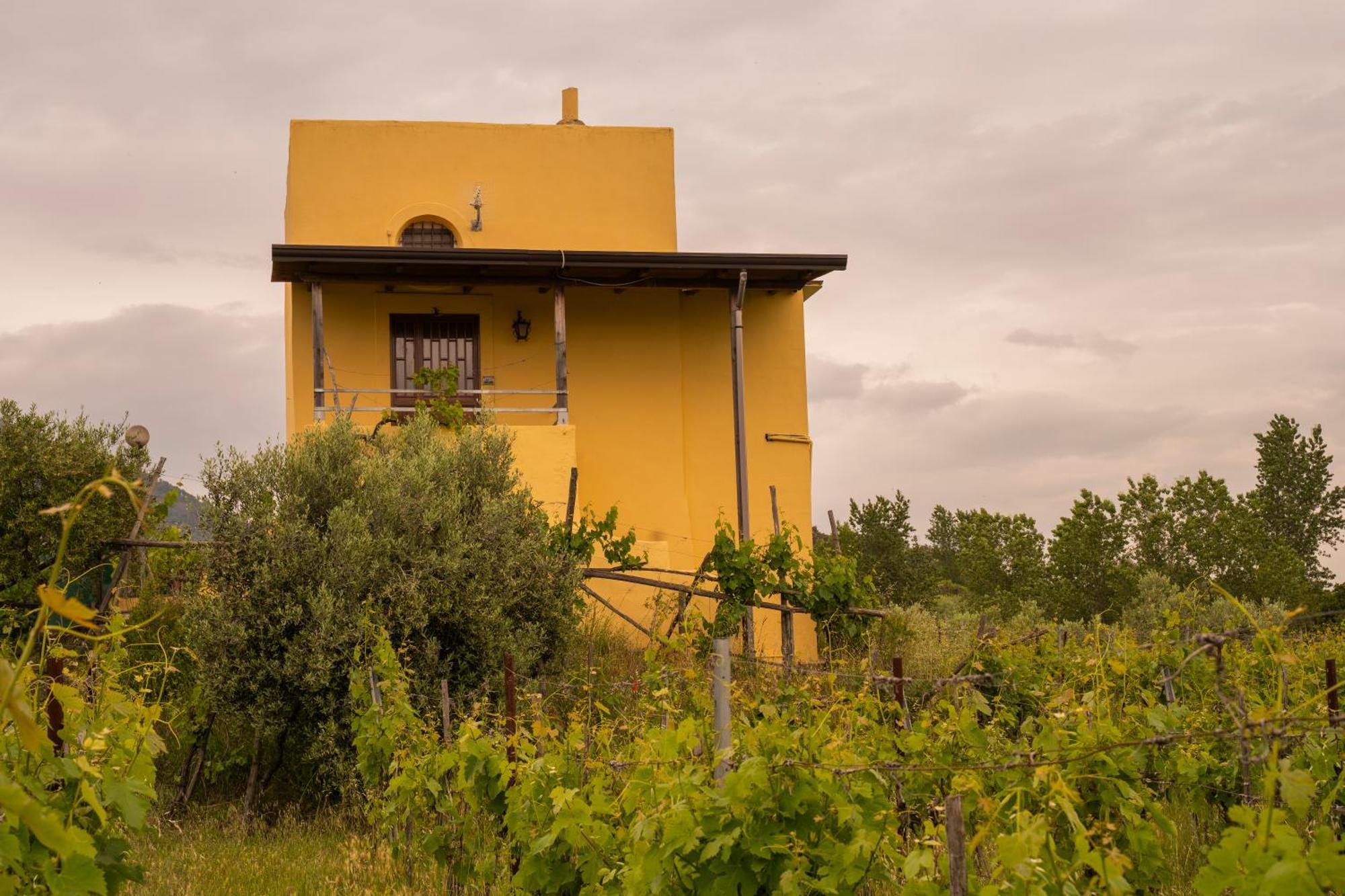 Vesuvio Inn Guest House E Wine Experience Boscotrecase Bagian luar foto