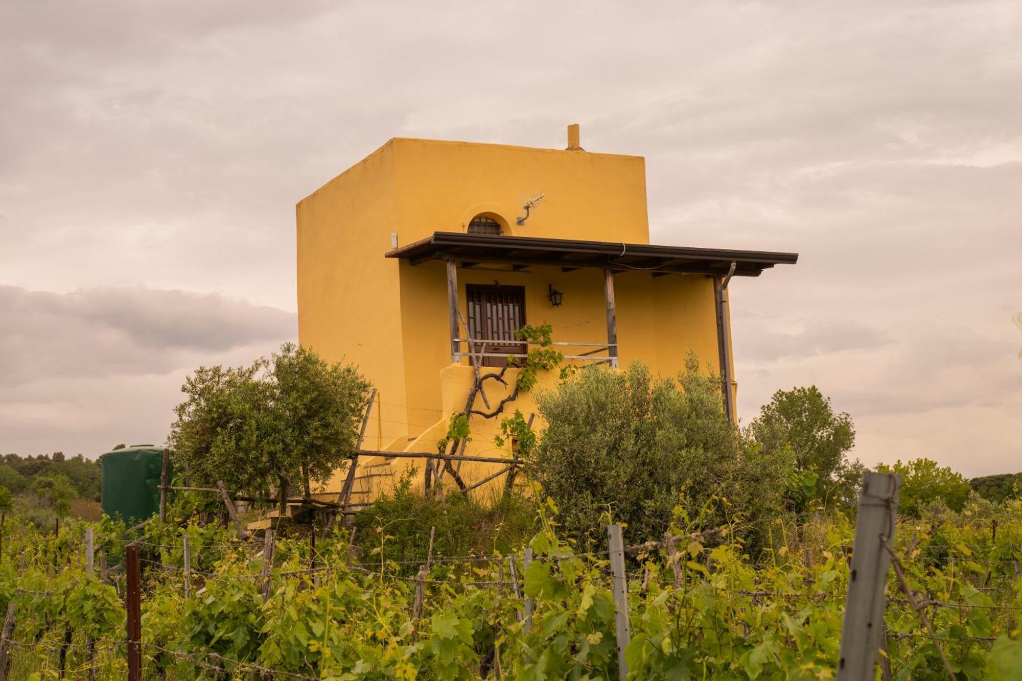 Vesuvio Inn Guest House E Wine Experience Boscotrecase Bagian luar foto