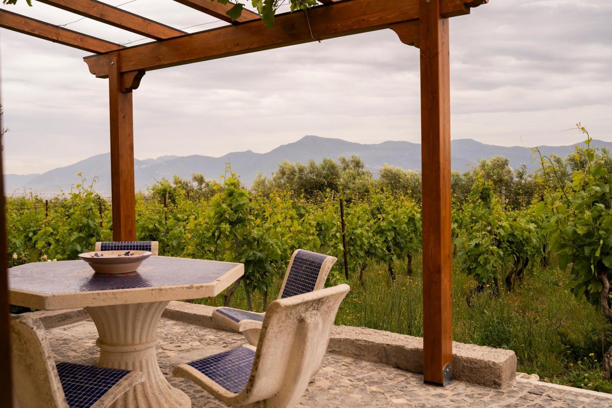 Vesuvio Inn Guest House E Wine Experience Boscotrecase Bagian luar foto