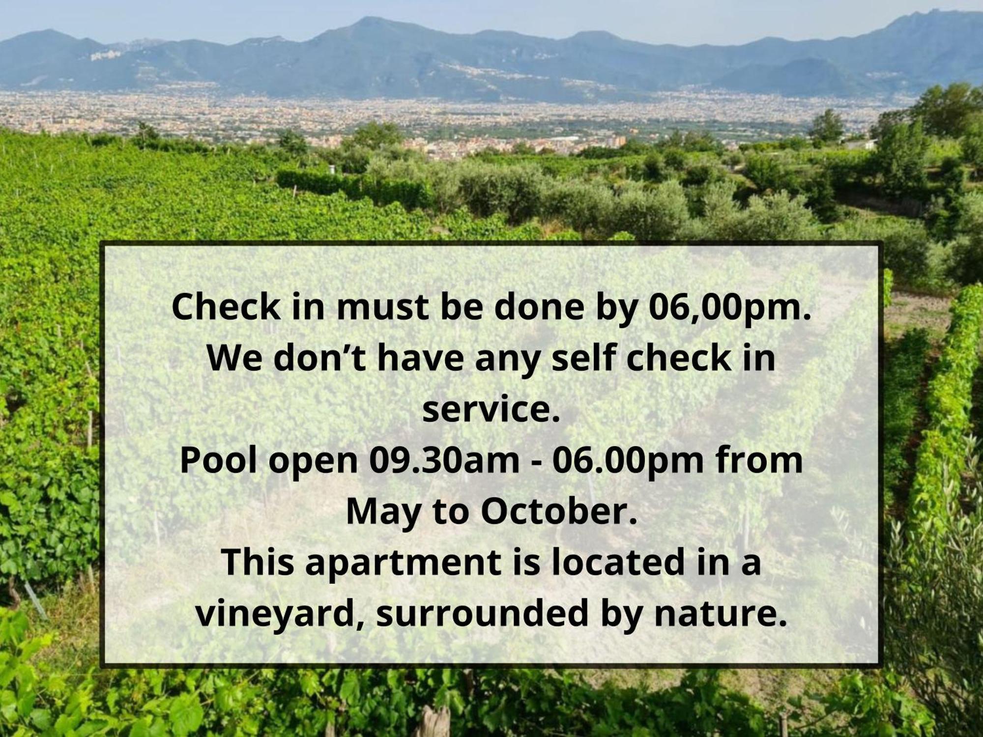 Vesuvio Inn Guest House E Wine Experience Boscotrecase Bagian luar foto