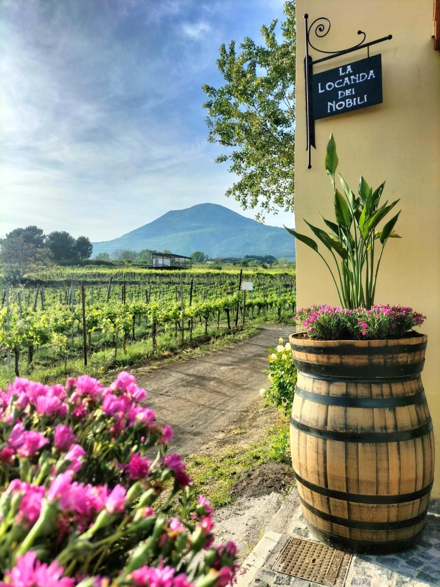 Vesuvio Inn Guest House E Wine Experience Boscotrecase Bagian luar foto