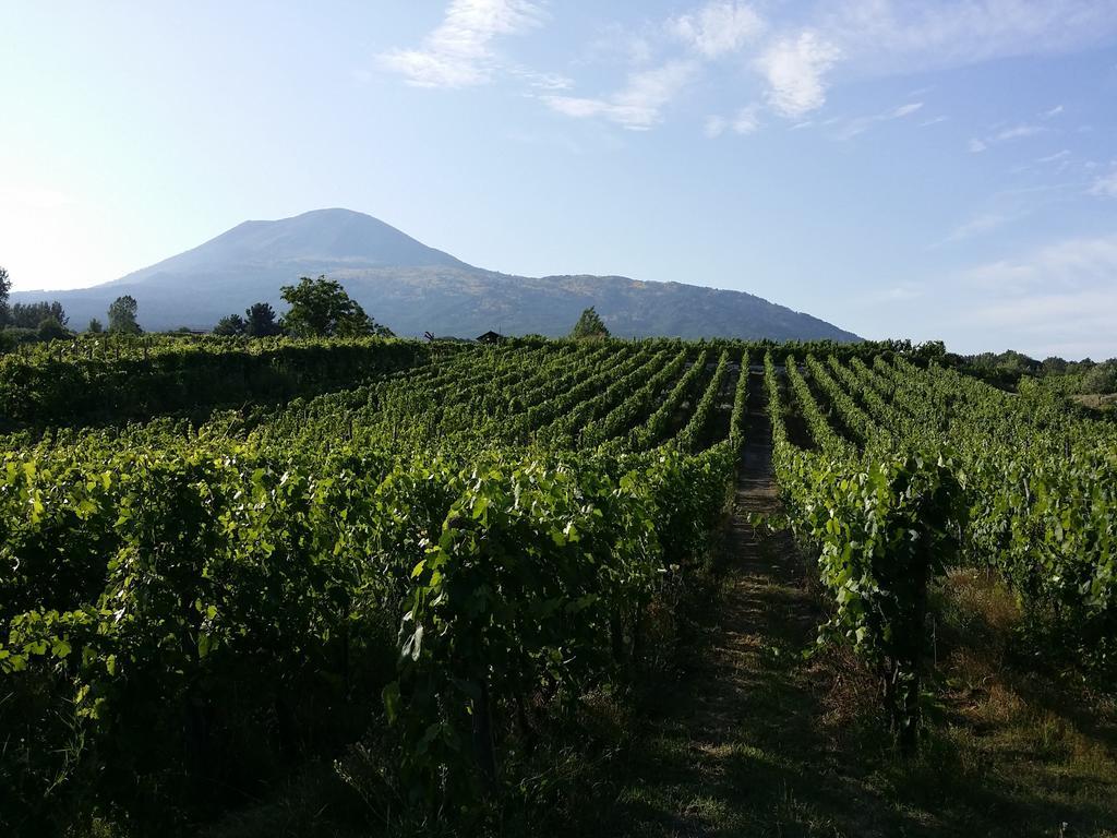 Vesuvio Inn Guest House E Wine Experience Boscotrecase Bagian luar foto