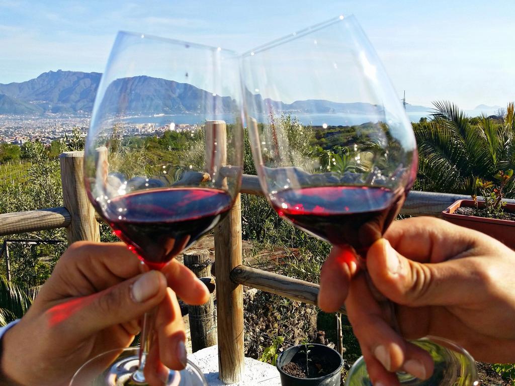 Vesuvio Inn Guest House E Wine Experience Boscotrecase Bagian luar foto